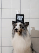 Load image into Gallery viewer, STUCK SOAP Silent Grove Dog Shampoo