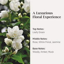 Load image into Gallery viewer, British M Kombucha Mask 750ml