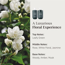 Load image into Gallery viewer, British M Kombucha Shampoo 750ml