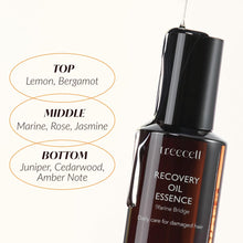 Load image into Gallery viewer, Treecell Recovery Oil Essence, 3.4 fl oz (100 ml) | Protection from Pollution, UV Rays, Heat Styling | Intensive Care for Dry, Damaged Hair | Non Greasy Finish | Minimizes Breakage