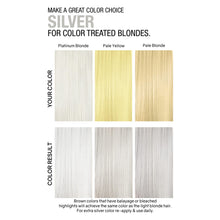 Load image into Gallery viewer, Pastel silver Colorditioner