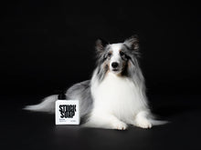 Load image into Gallery viewer, STUCK SOAP Blush Garden Dog Shampoo
